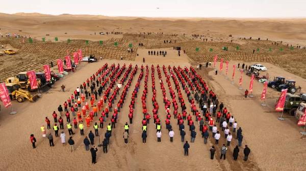 1742972243412239.jpg 10.jpg