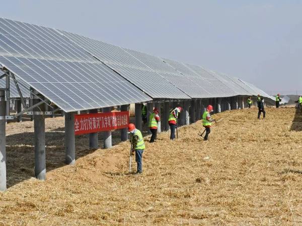 1742972255663243.jpg 11.jpg