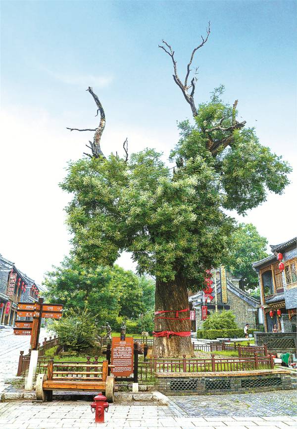 1742972350684638.jpg 12.jpg