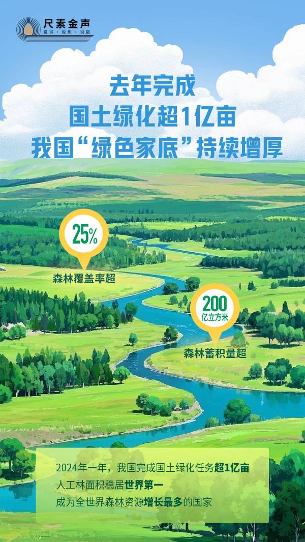 1742972449490412.jpg 13.jpg