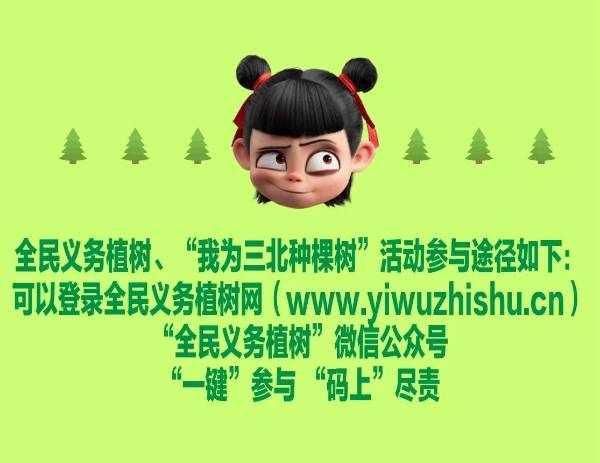 1742973722316544.jpg 2.jpg