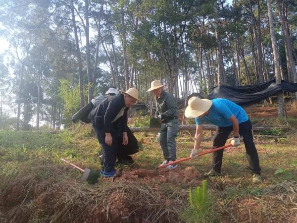 1743040059710417.jpg 5.jpg