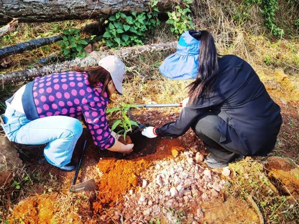 1743040062107672.jpg 6.jpg