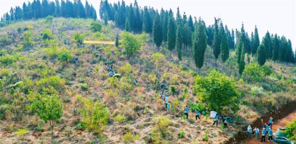 1743040551143699.jpg 1.jpg