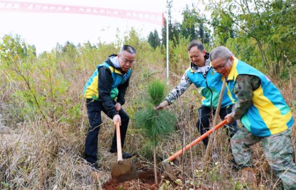 1743040569656711.jpg 2.jpg