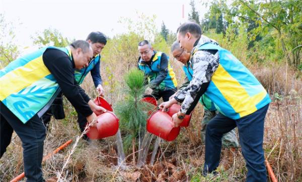 1743040583703456.jpg 3.jpg