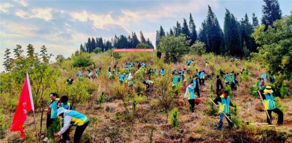 1743040595486522.jpg 4.jpg