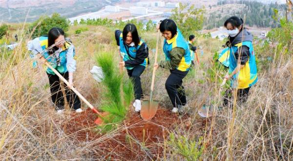 1743040601643663.jpg 5.jpg