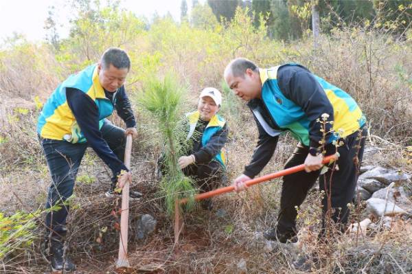 1743040631525048.jpg 7.jpg