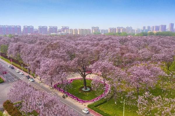 1743129775610500.jpg 4.jpg