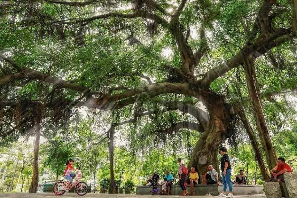 1743129784575028.jpg 5.jpg