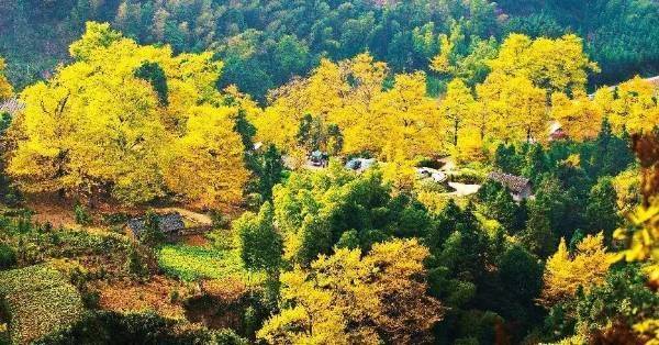 1743129799362536.jpg 6.jpg