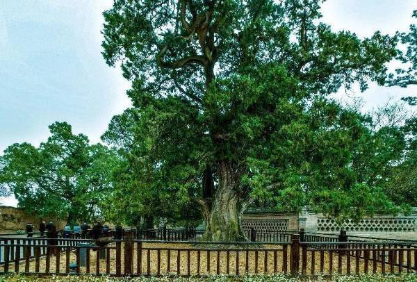 1743129811495903.jpg 7.jpg