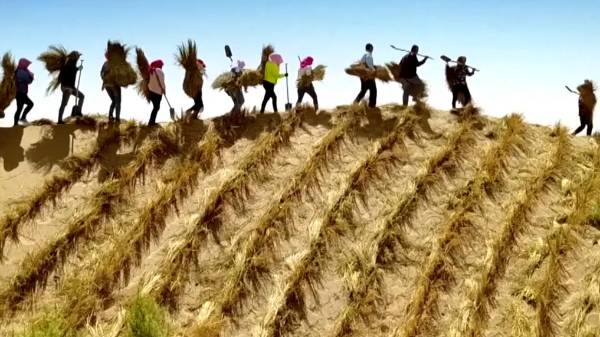 1743130412951758.jpg 1 (1).jpg