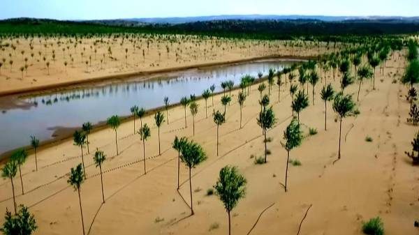 1743130419616365.jpg 2 (1).jpg