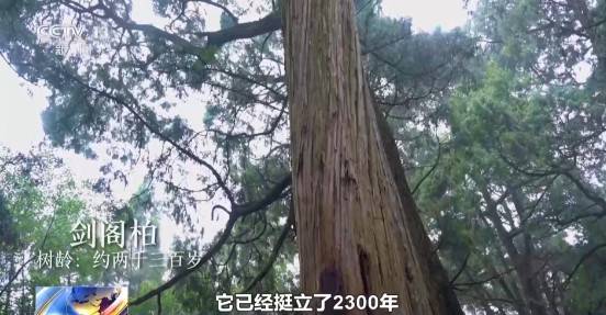 1743130840797149.jpg 1.jpg