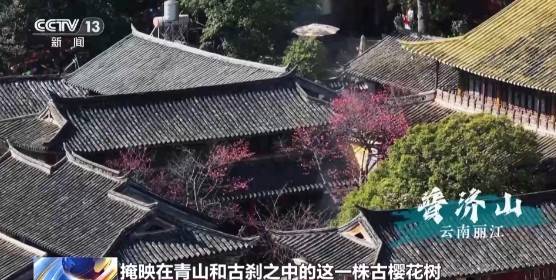 1743130850181420.jpg 2.jpg