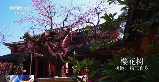 1743130858914896.jpg 3.jpg