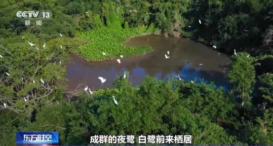 1743130867873175.jpg 4.jpg