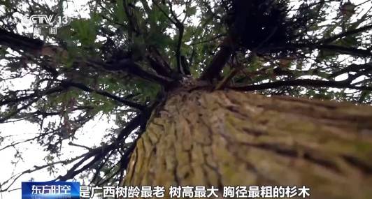 1743130883332357.jpg 5.jpg