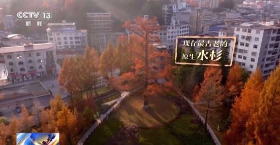 1743130899890116.jpg 6.jpg