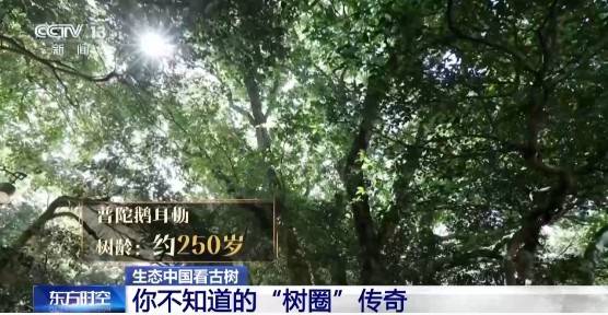 1743130910750124.jpg 7.jpg