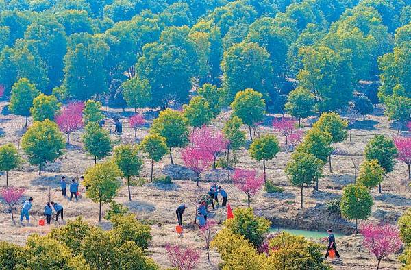 1743131582167928.jpg 5.jpg