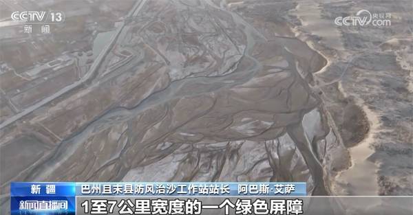 1743388895821931.jpg 1.jpg