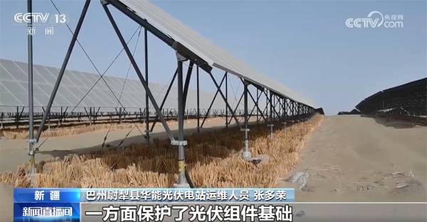 1743388908885485.jpg 2.jpg