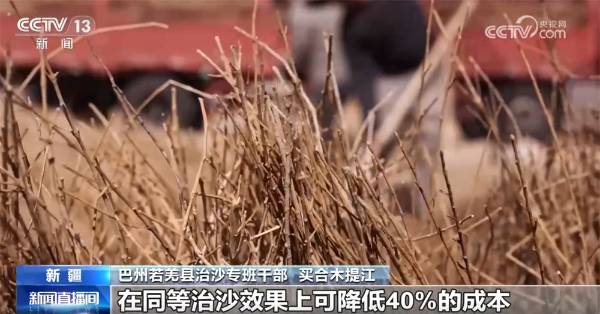 1743388966780897.jpg 4.jpg