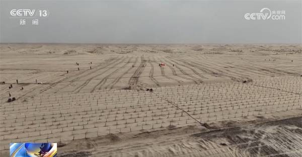 1743388974514785.jpg 5.jpg