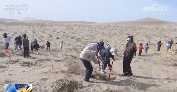 1743388993359312.jpg 6.jpg