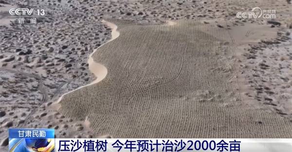 1743389003666303.jpg 7.jpg