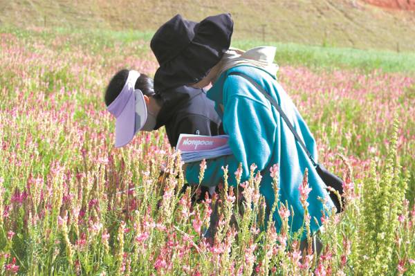 1743389121476094.jpg 10.jpg