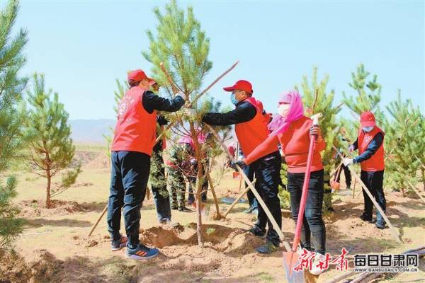 1743389436999191.jpg 14.jpg