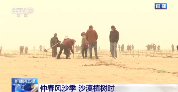 1743390173544339.jpg 15.jpg