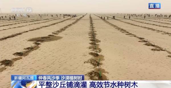 1743390189478967.jpg 16.jpg