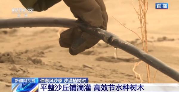 1743390248995286.jpg 17.jpg