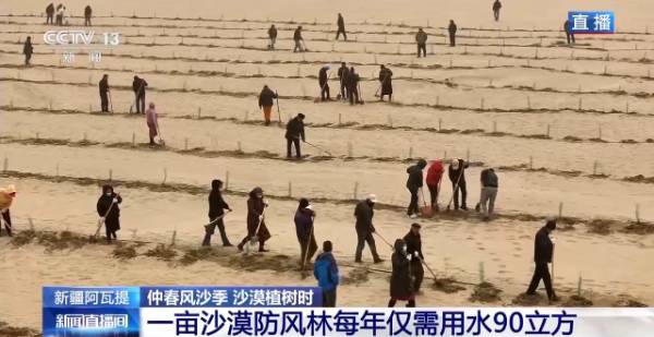 1743390287697296.jpg 18.jpg