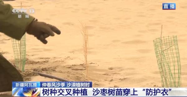 1743390307667780.jpg 19.jpg