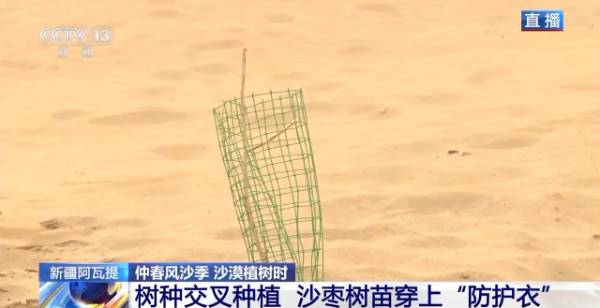 1743390318443765.jpg 20.jpg