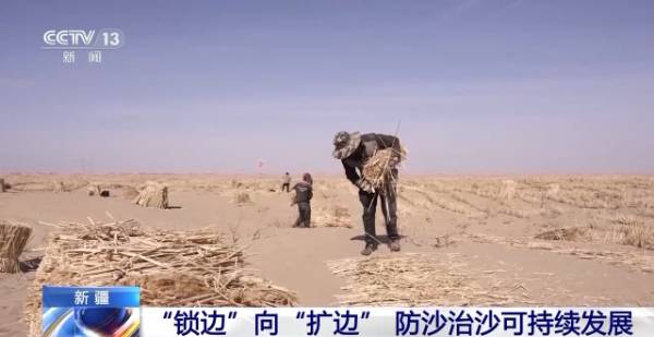 1743390345974197.jpg 22.jpg