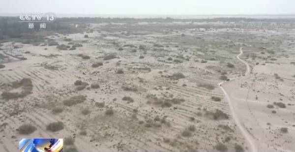 1743390356254905.jpg 23.jpg