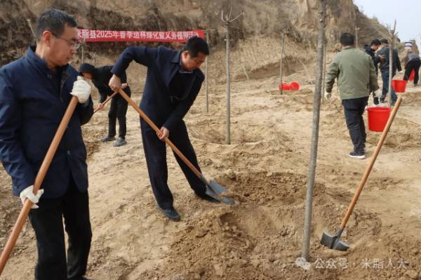 1743390869767510.jpg 1 (1).jpg