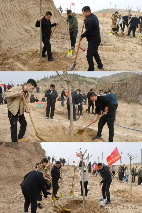 1743390872256311.jpg 2 (1).jpg