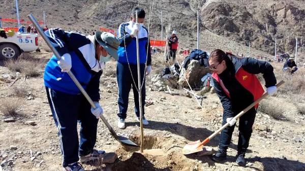 1743391090556093.jpg 1 (1).jpg