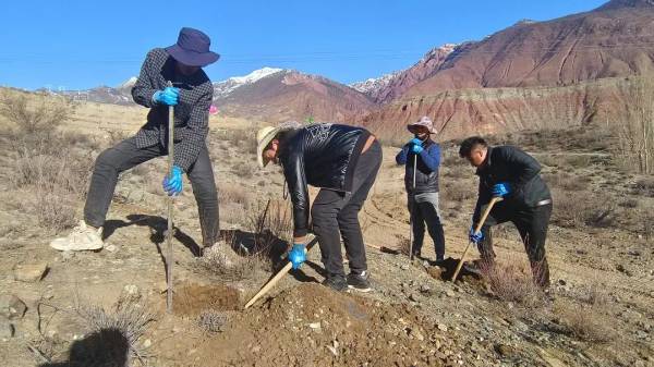 1743391104690350.jpg 3 (1).jpg