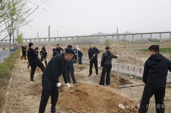 1743391502796058.jpg 3.jpg