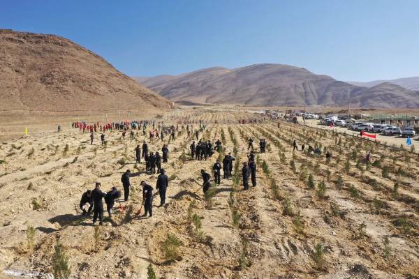 1743402061895984.jpg 5.jpg