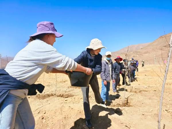 1743402087741509.jpg 8.jpg